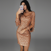 Glitter Mini Cocktail Party Dress for Women with Fringe Sleeves